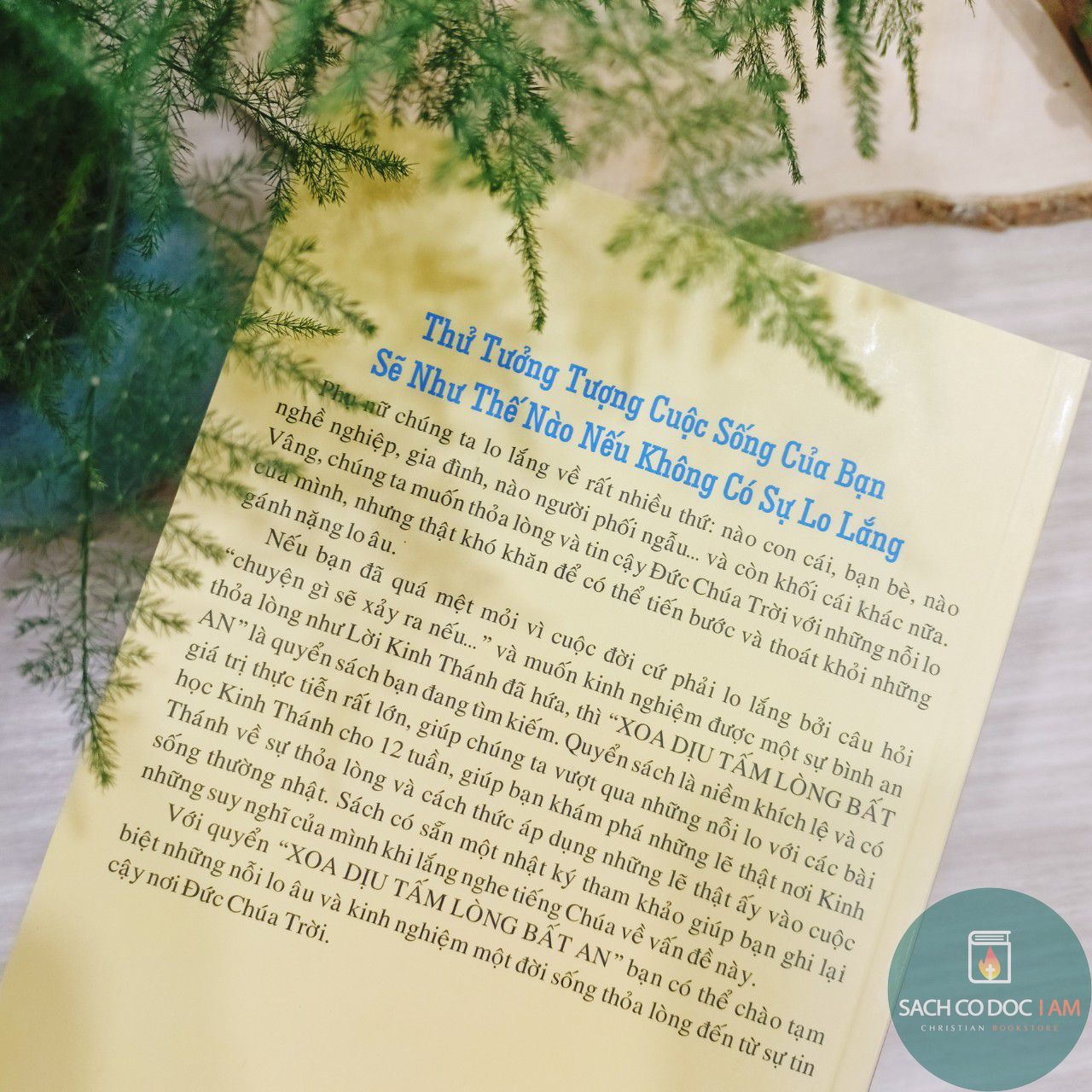 z3183099496361_d2021847f4adad0a41b47574298b0ea2_result