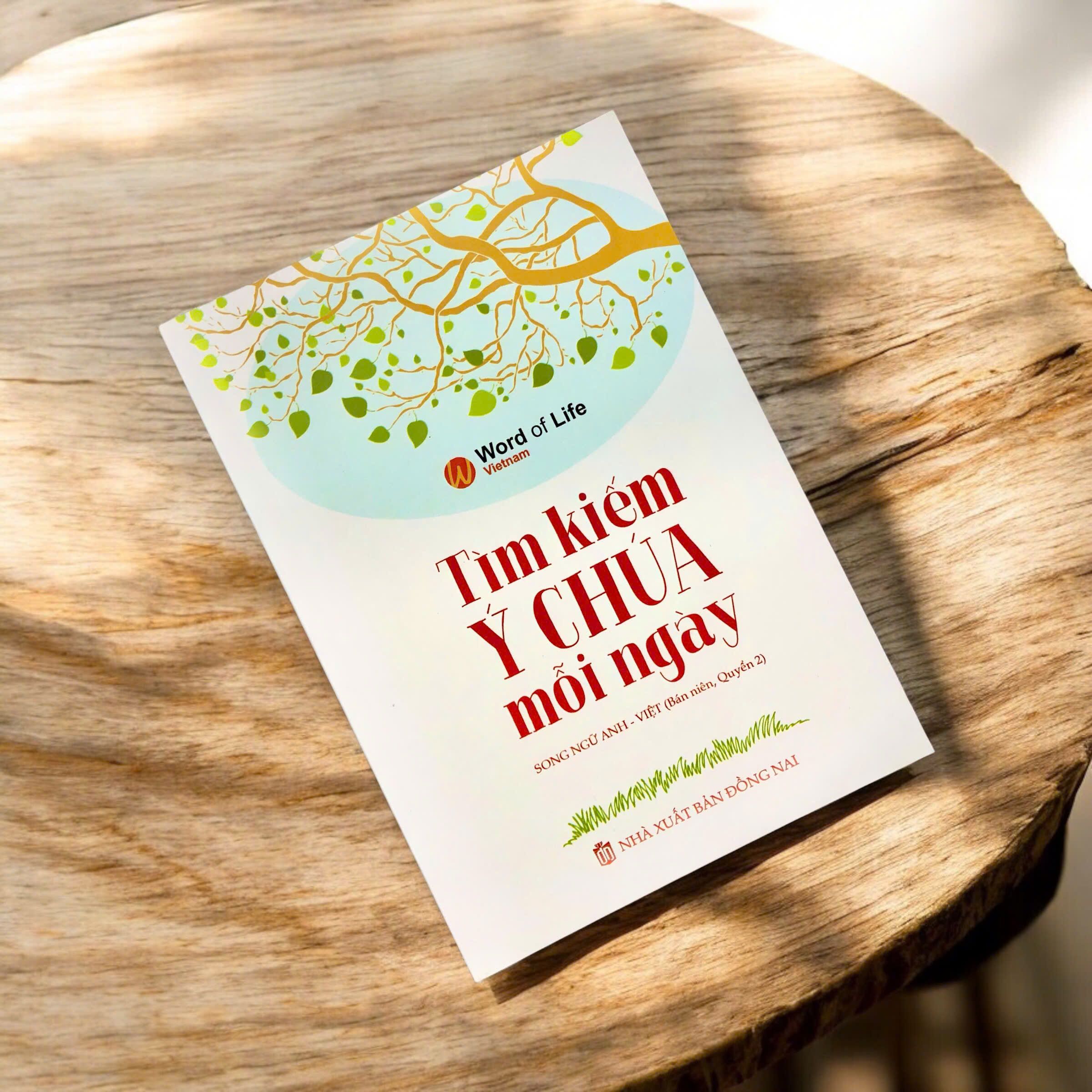 z7331639288986_2a61a3b158ed28d4ff1db0c48b374975