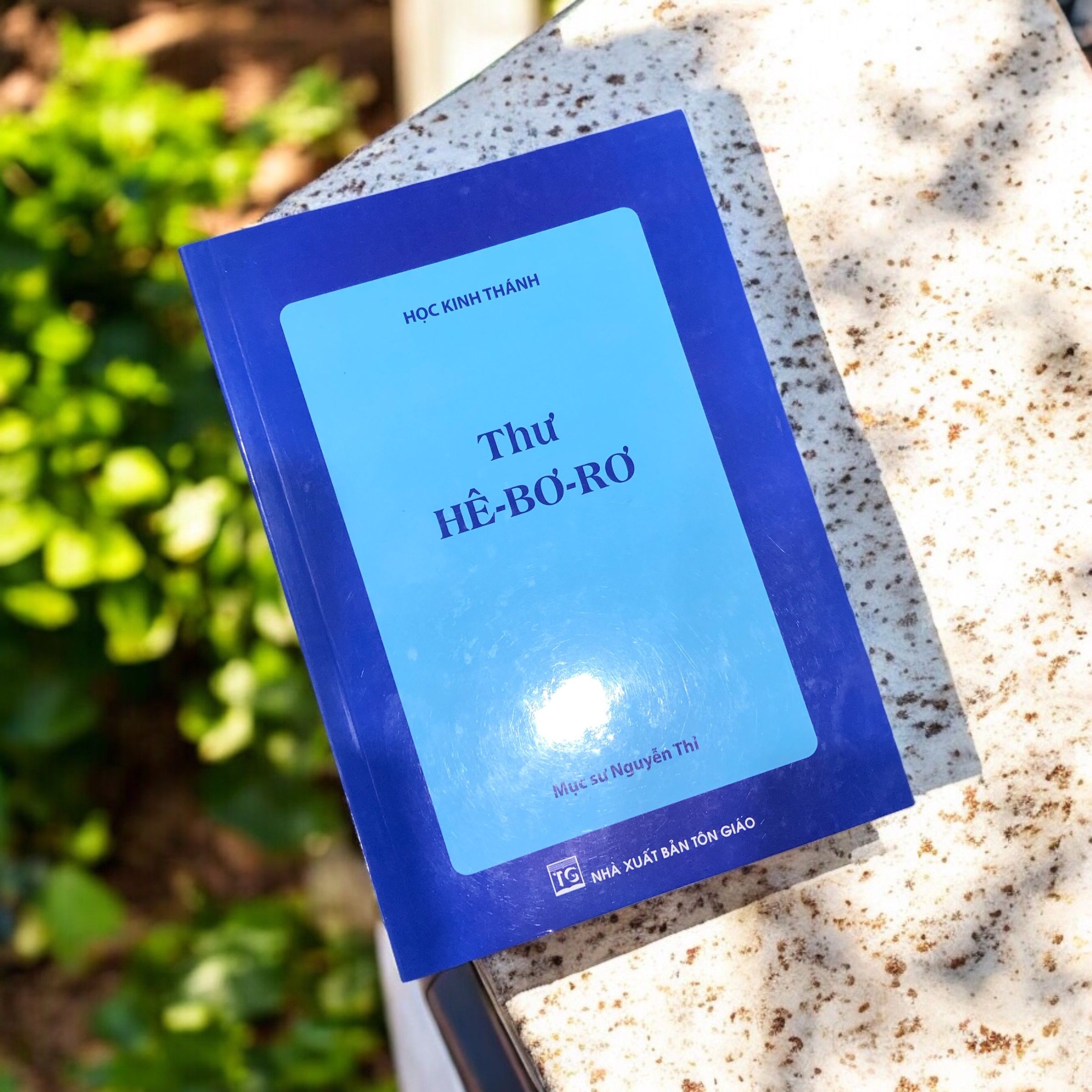 z7195664416826_7b68d0e6d625df385d45e544ed8660ce