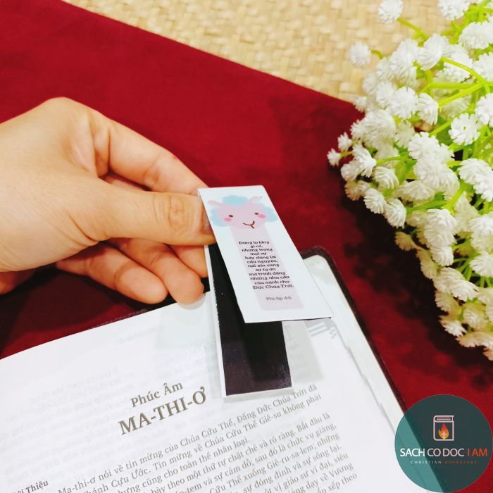 z4950504537380_8bed6dbdca2e4446df9c582568656343_result