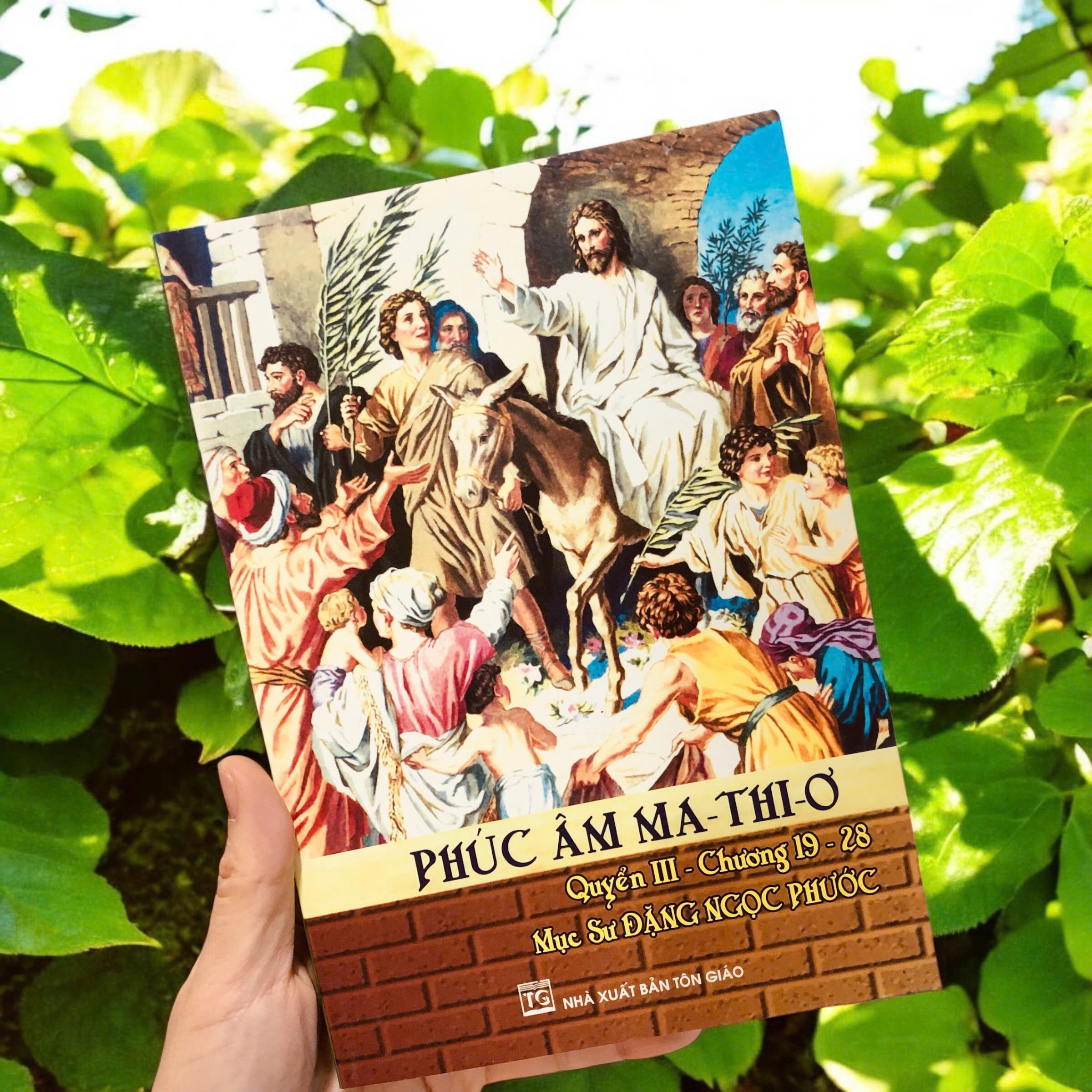 z6298100788610_b426a486ba29cec12b27f1e8f7c17073