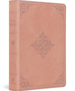 ESV Value Large Print