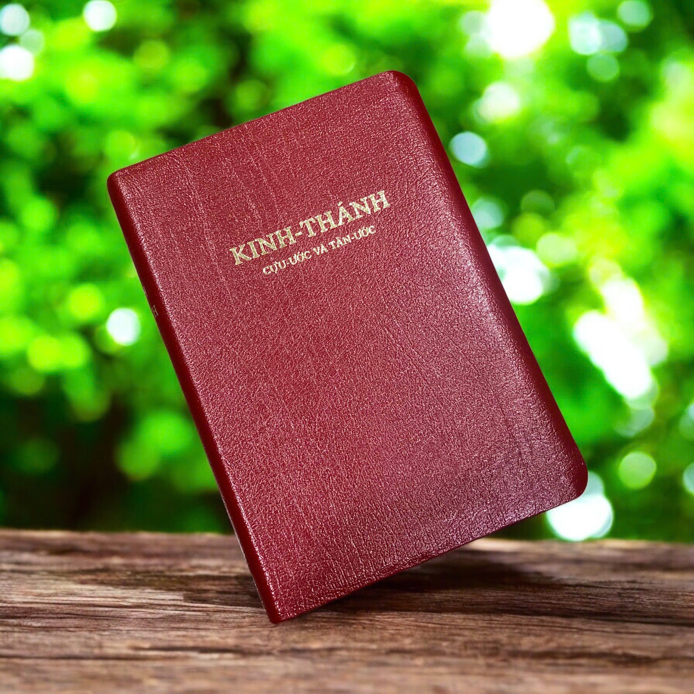 z7523818690304_4e6fa9a001c90d119b87352cd5e71c94