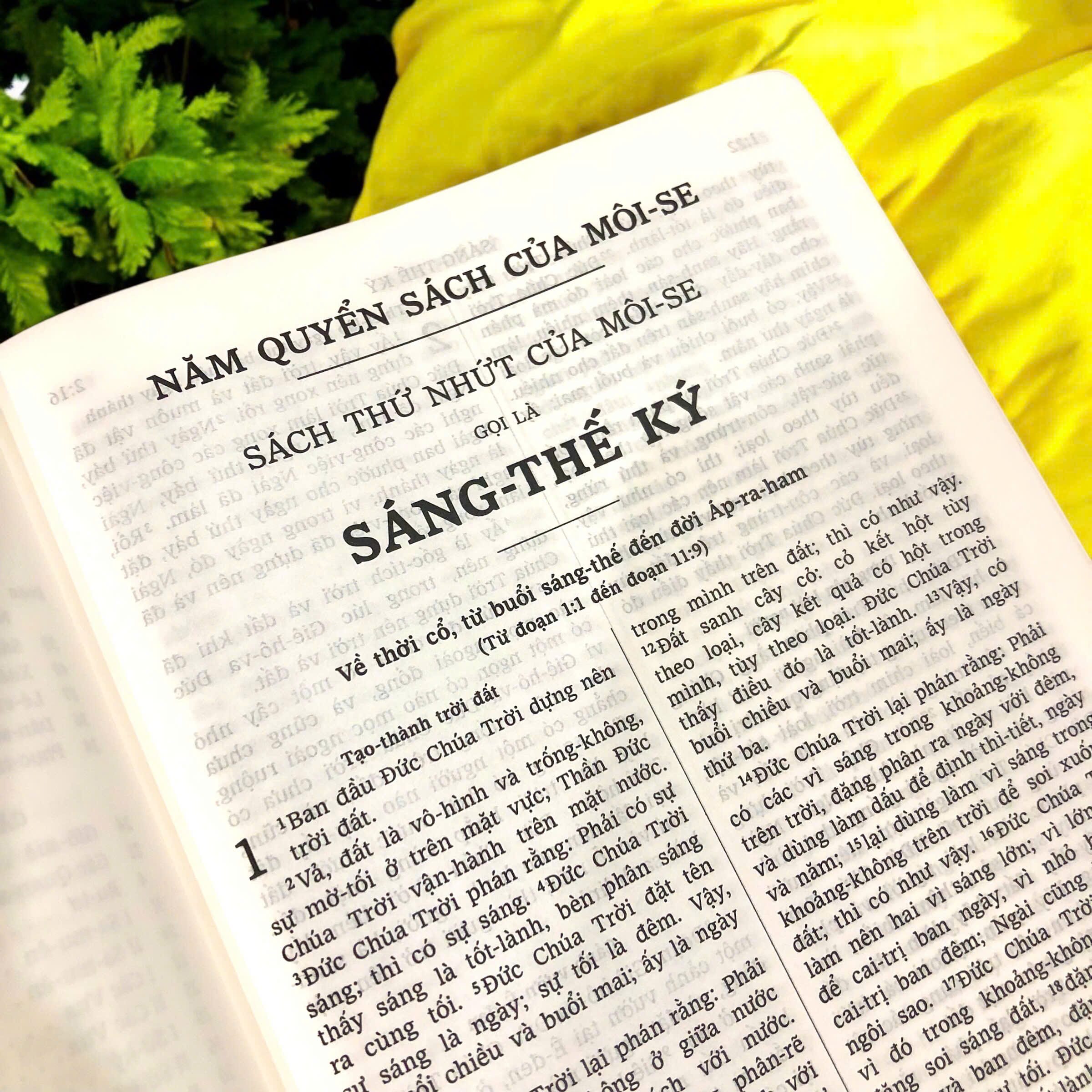 z7523818724633_855acc24e66c7fced895c785736b5a29